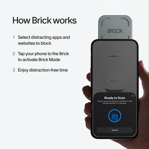 Charcoal Brick